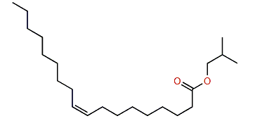 Isobutyl (Z)-9-octadecenoate